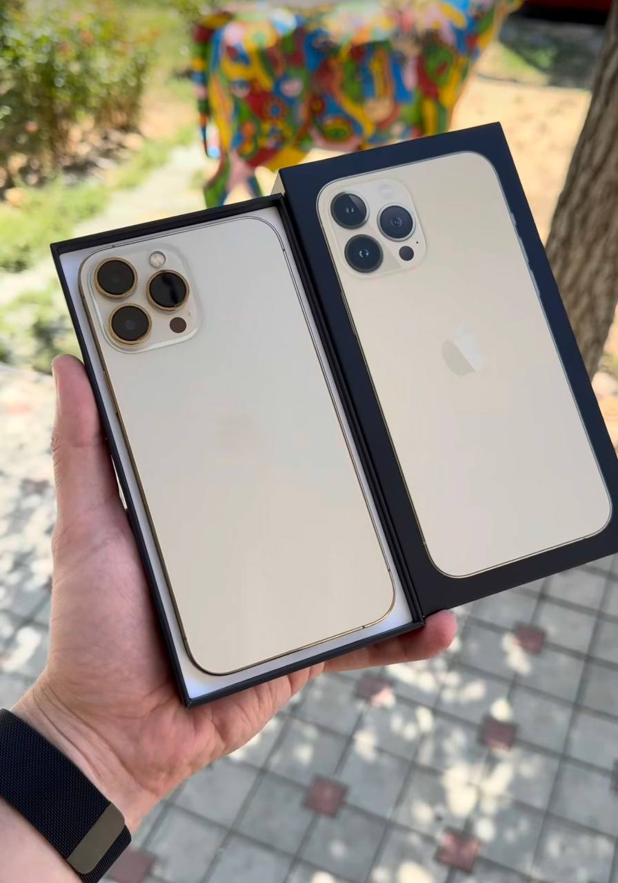Apple iPhone 13 Pro Max