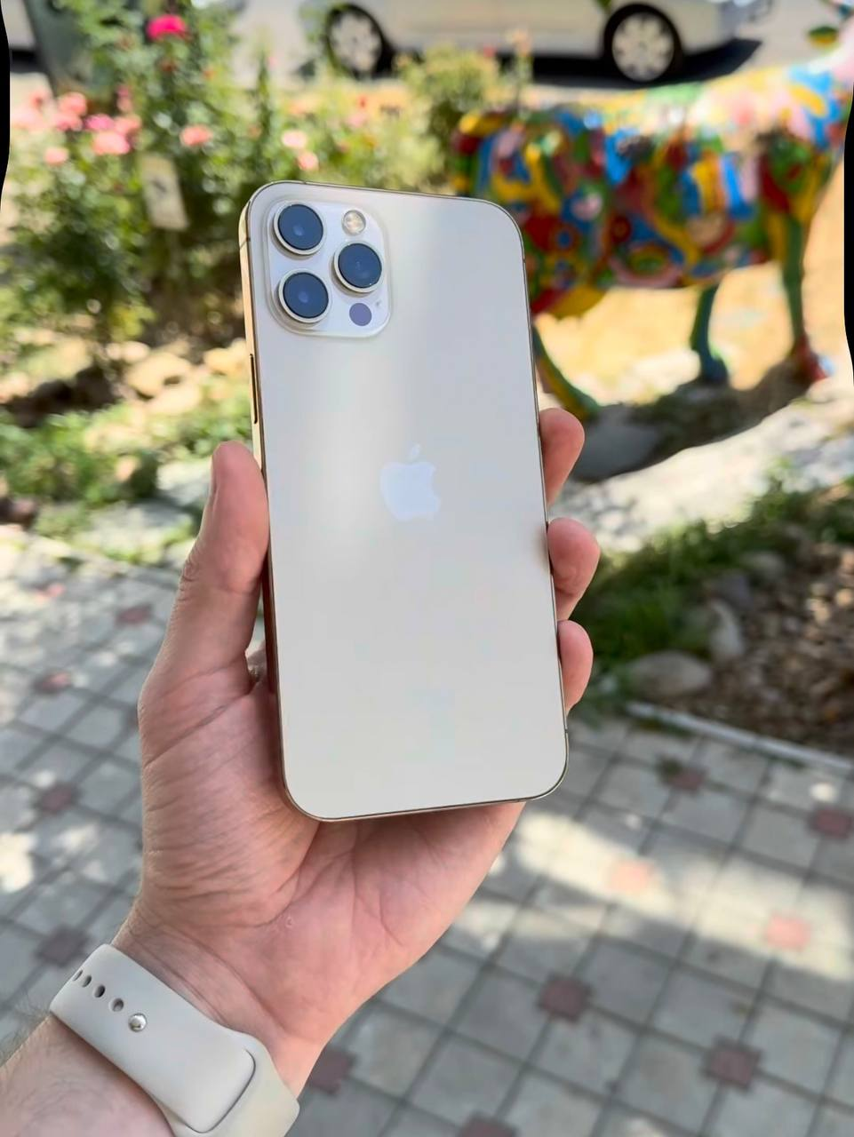 Apple iPhone 12 Pro Max