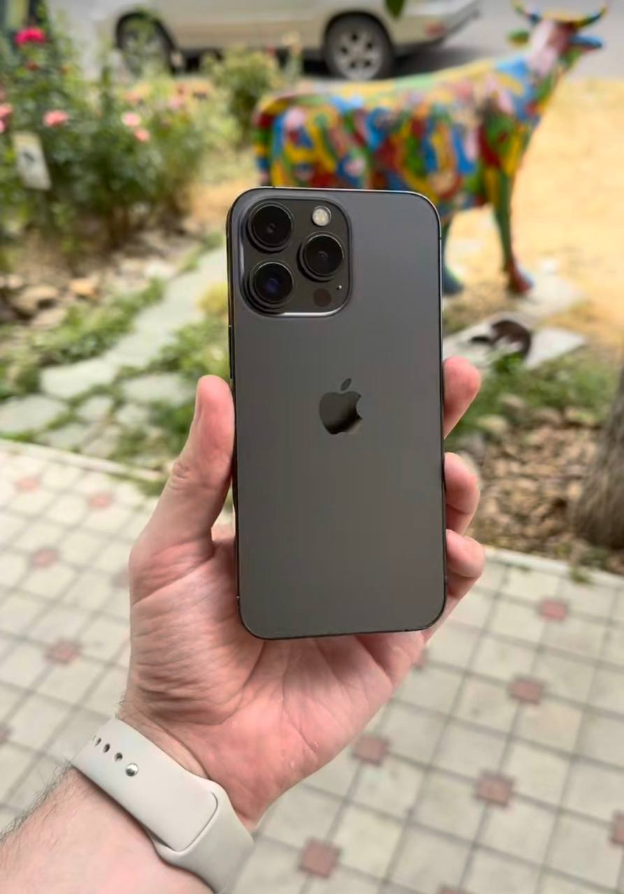 Apple iPhone 13 Pro Max