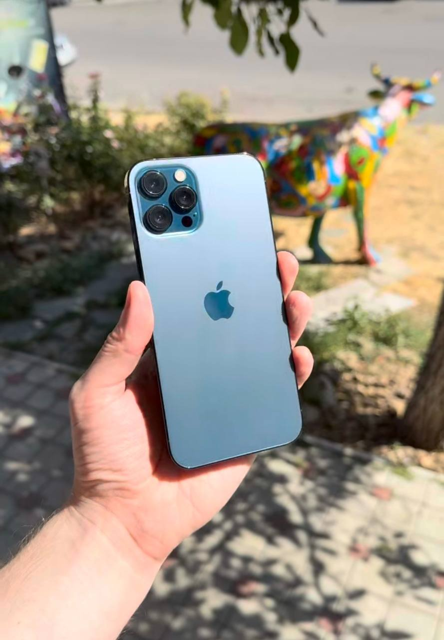 Apple iPhone 12 Pro Max