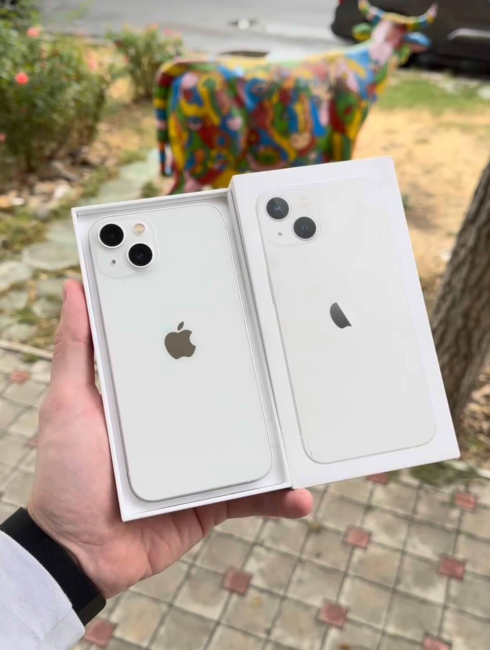 Apple iPhone 13