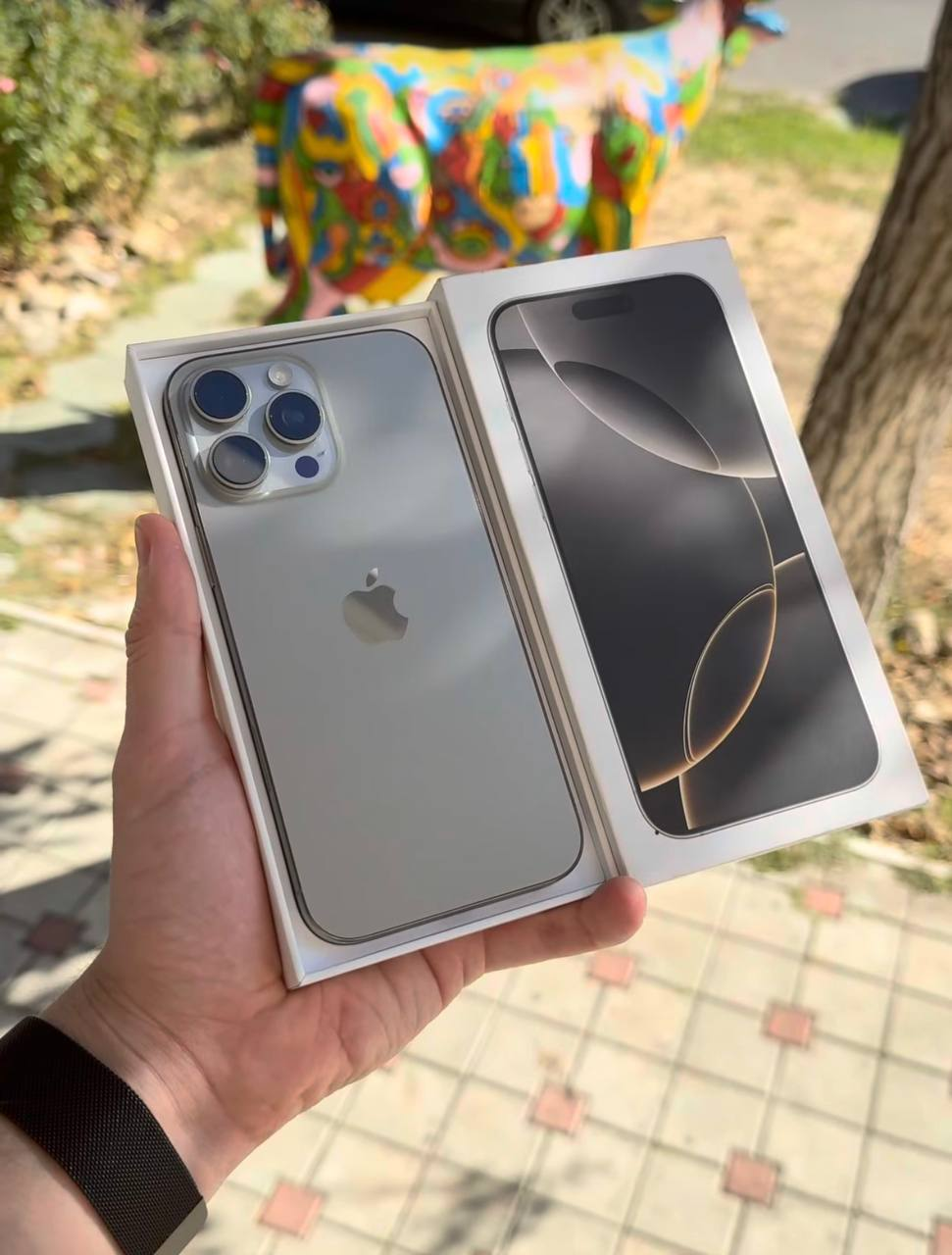 Apple iPhone 16 Pro