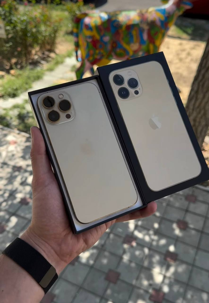 Apple iPhone 13 Pro Max